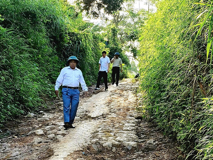 Kinh tế - Chính trị