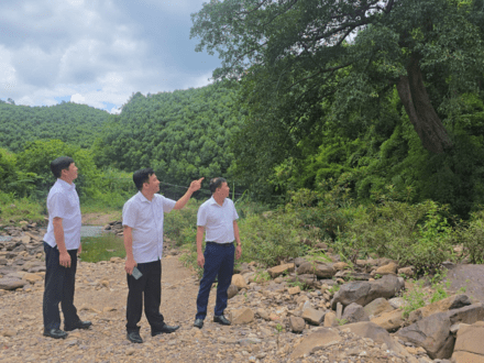 Văn Hoá xã Hội
