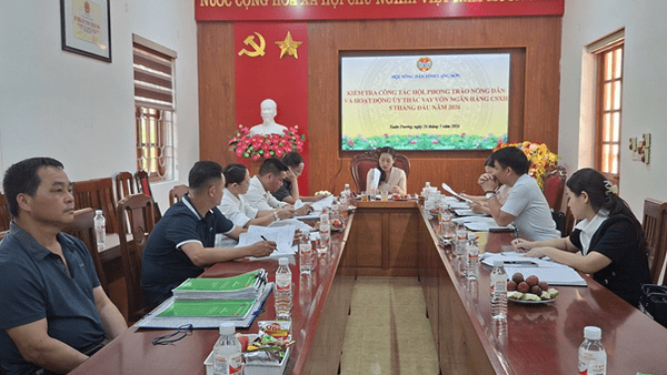 HỘI NÔNG DÂN TỈNH LẠNG SƠN KIỂM TRA CÔNG TÁC HỘI VÀ HOẠT ĐỘNG ỦY THÁC VAY VỐN NGÂN HÀNG CHÍNH SÁCH XÃ HỘI 5 THÁNG ĐẦU NĂM 2026